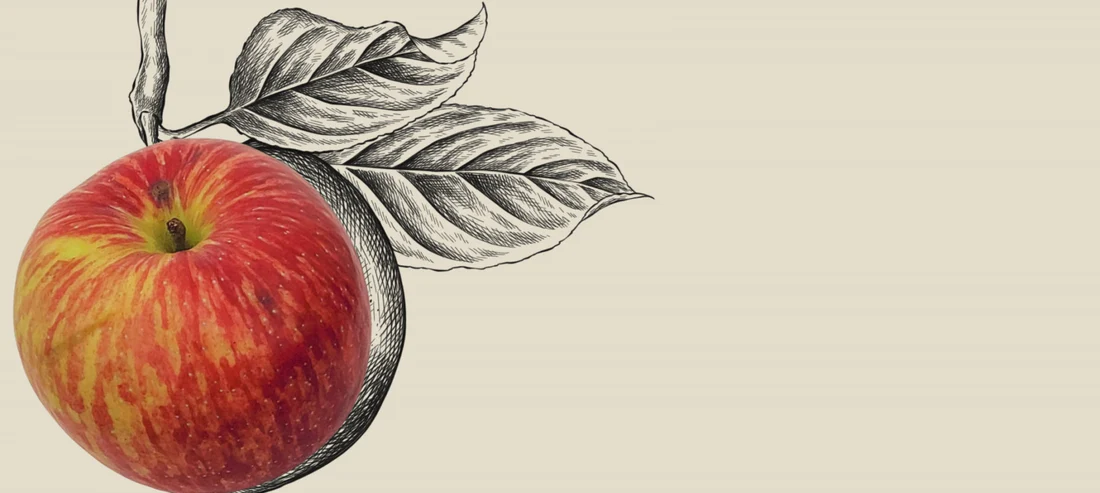 Canada’s Finest Fruit Trees Online