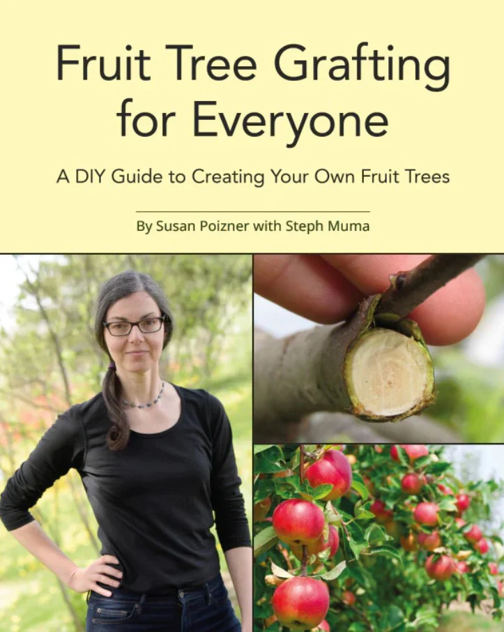 Apple Grafting Workshop (In-Person) - Image 4